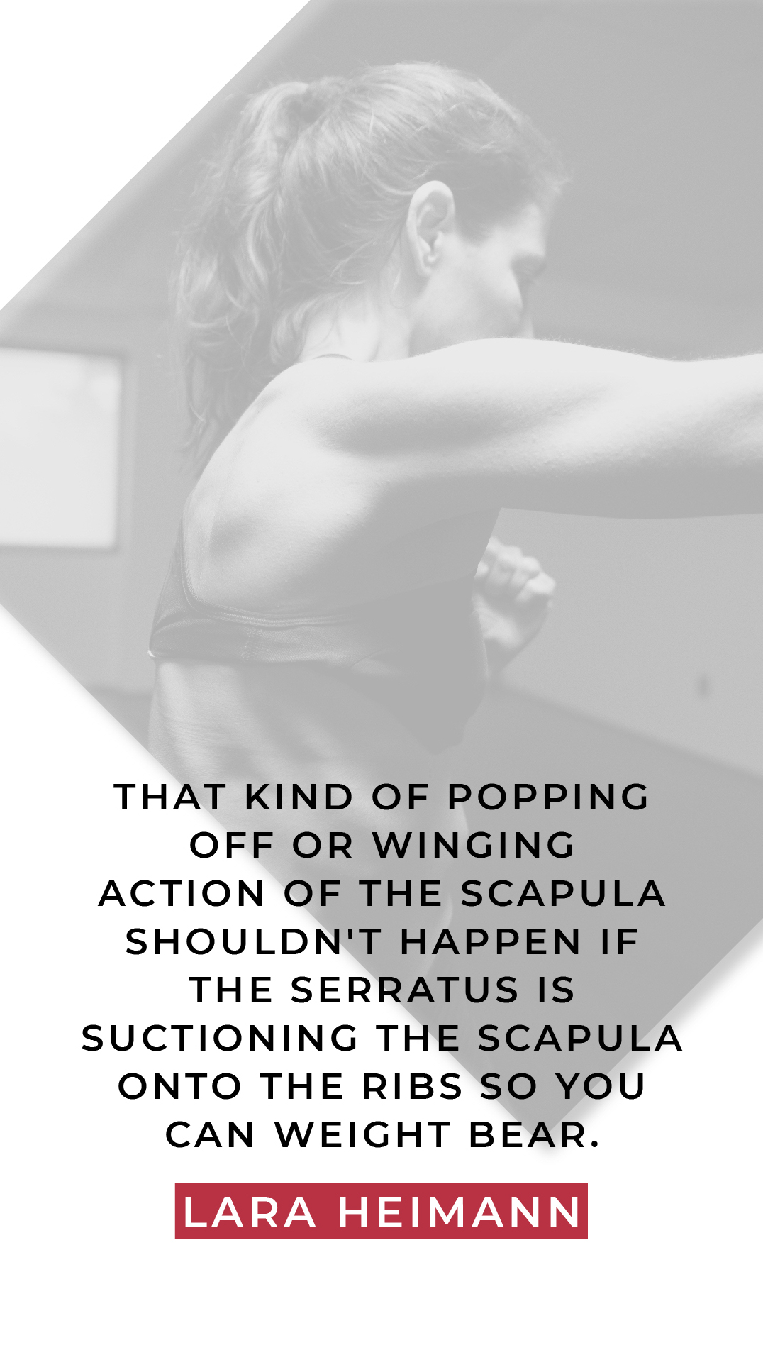 157 | Serratus anterior – my favorite muscle