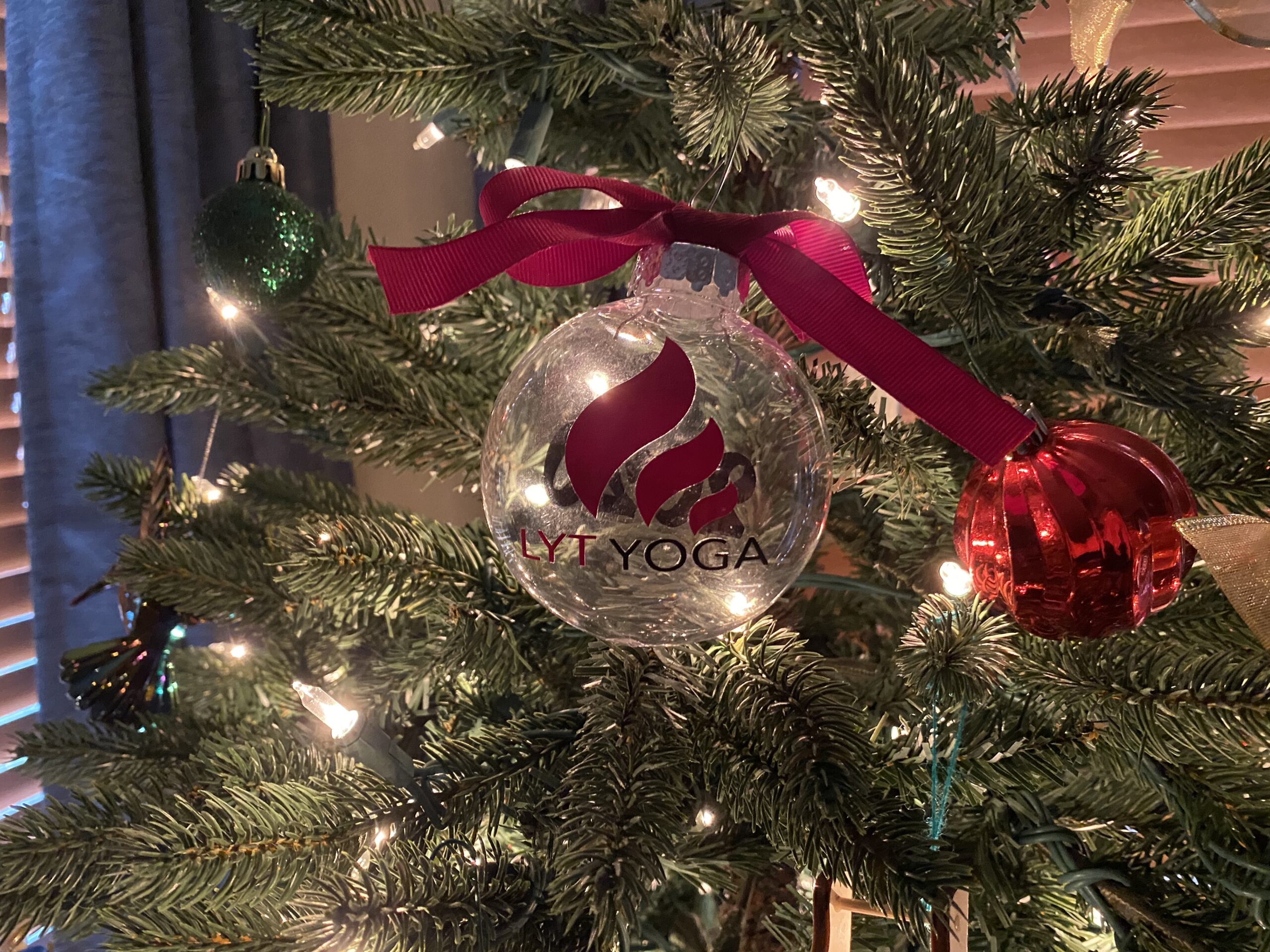 Get to Know the LYT Team – Holiday Edition