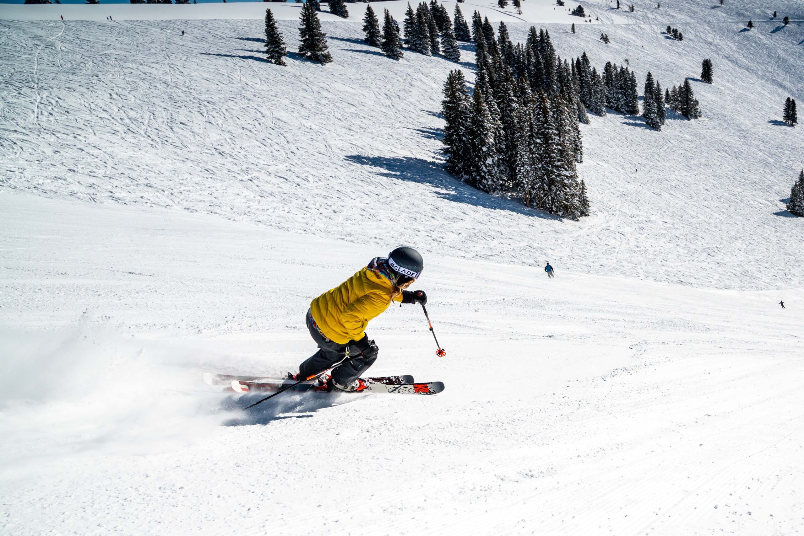 glade-optics -skiing