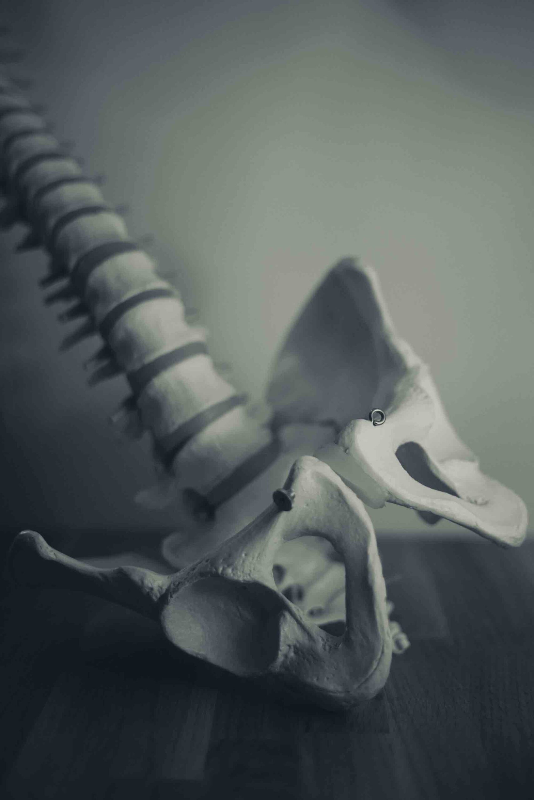 Let’s Talk Pelvis