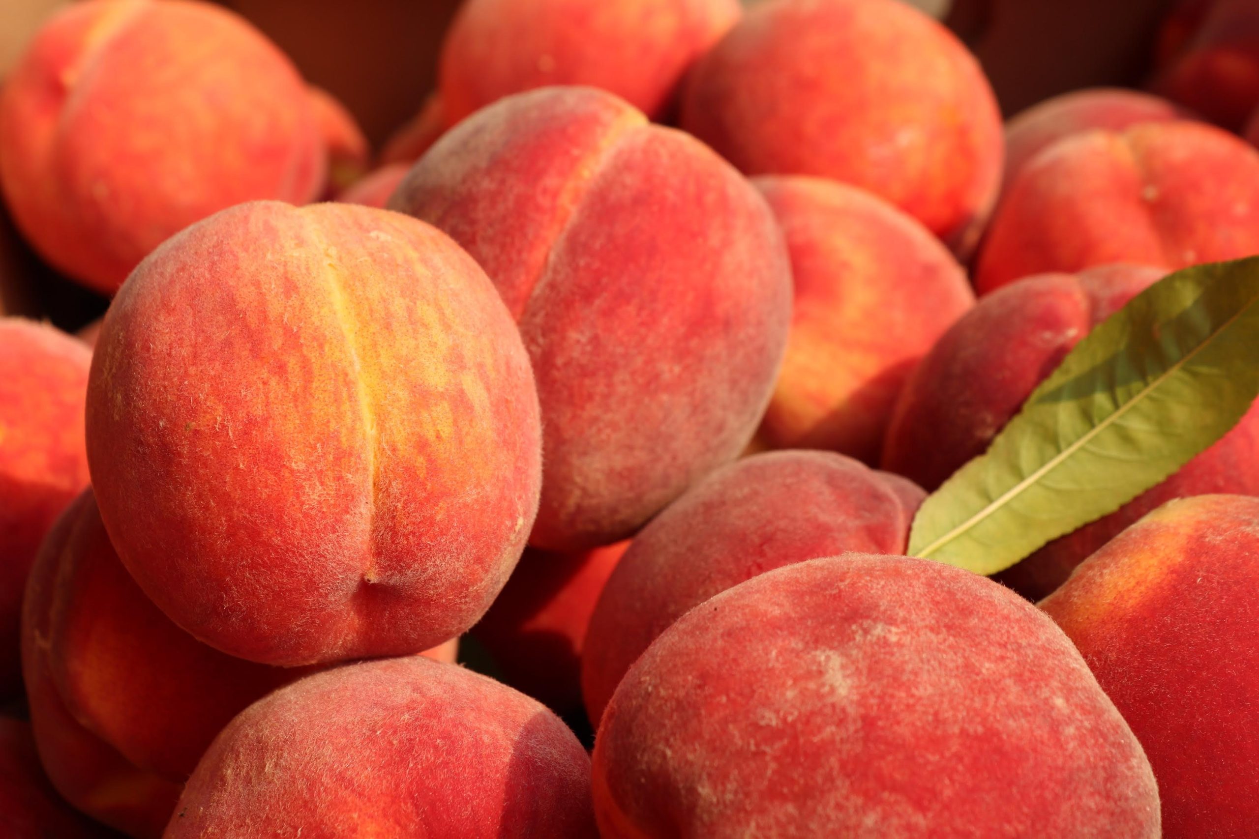 Peach Season: Your End of Summer Glute Daily Yoga Guide
