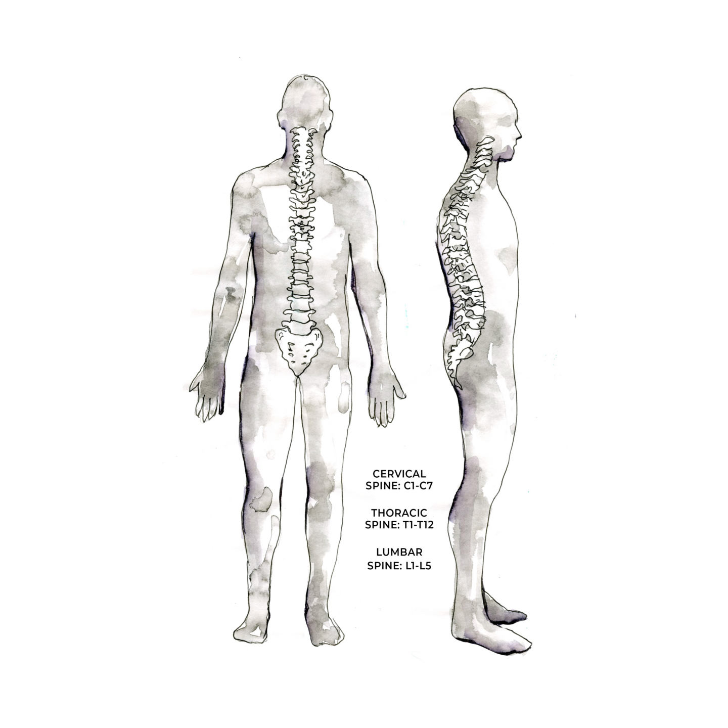How to Have a Happy Low Back – Part 1